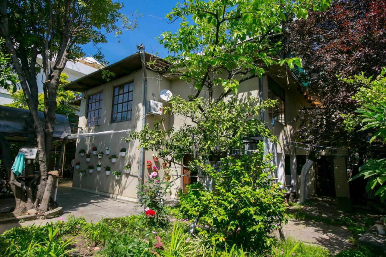 Guest House Lavr Gagra Dış mekan fotoğraf