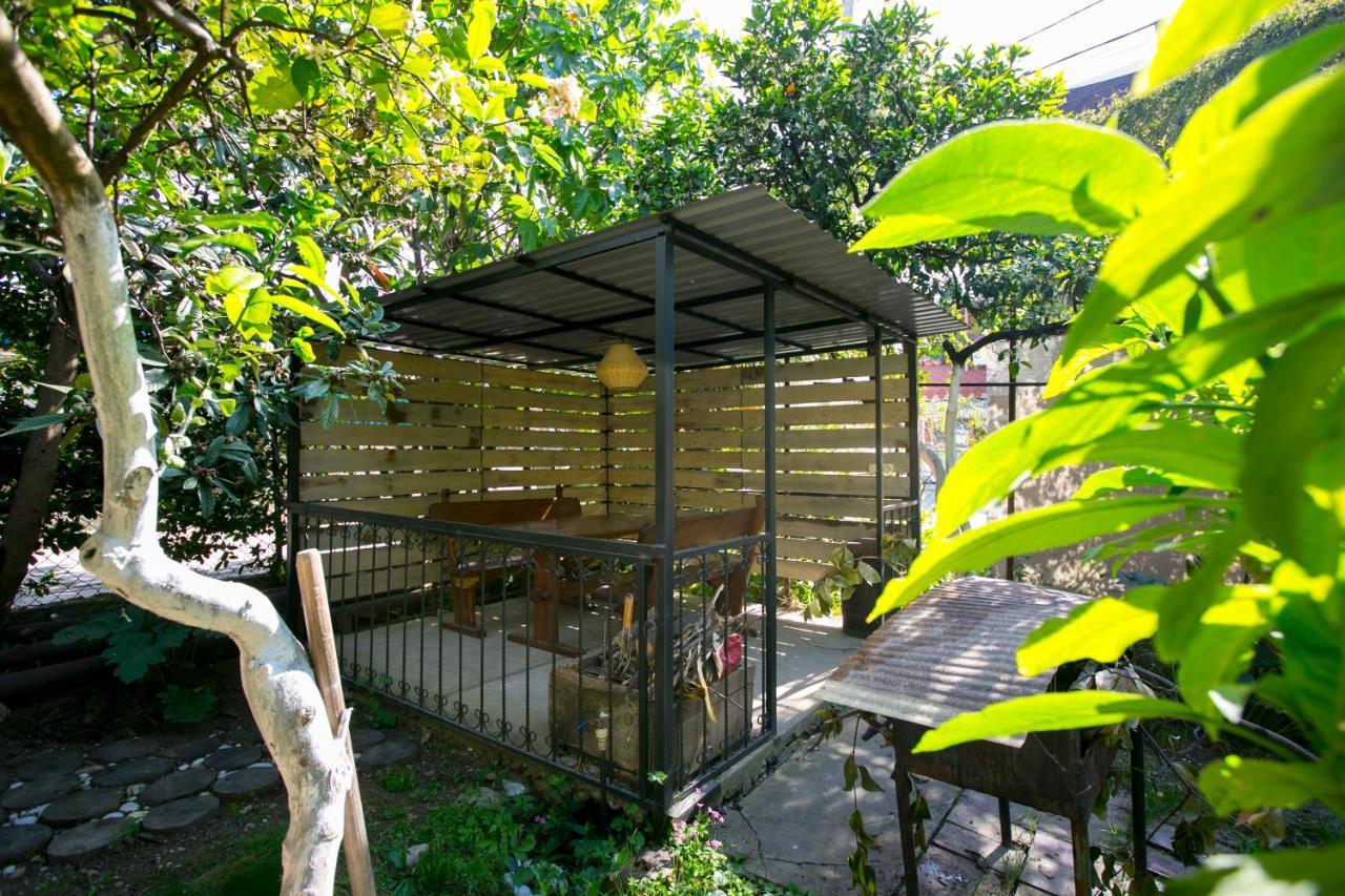 Guest House Lavr Gagra Dış mekan fotoğraf