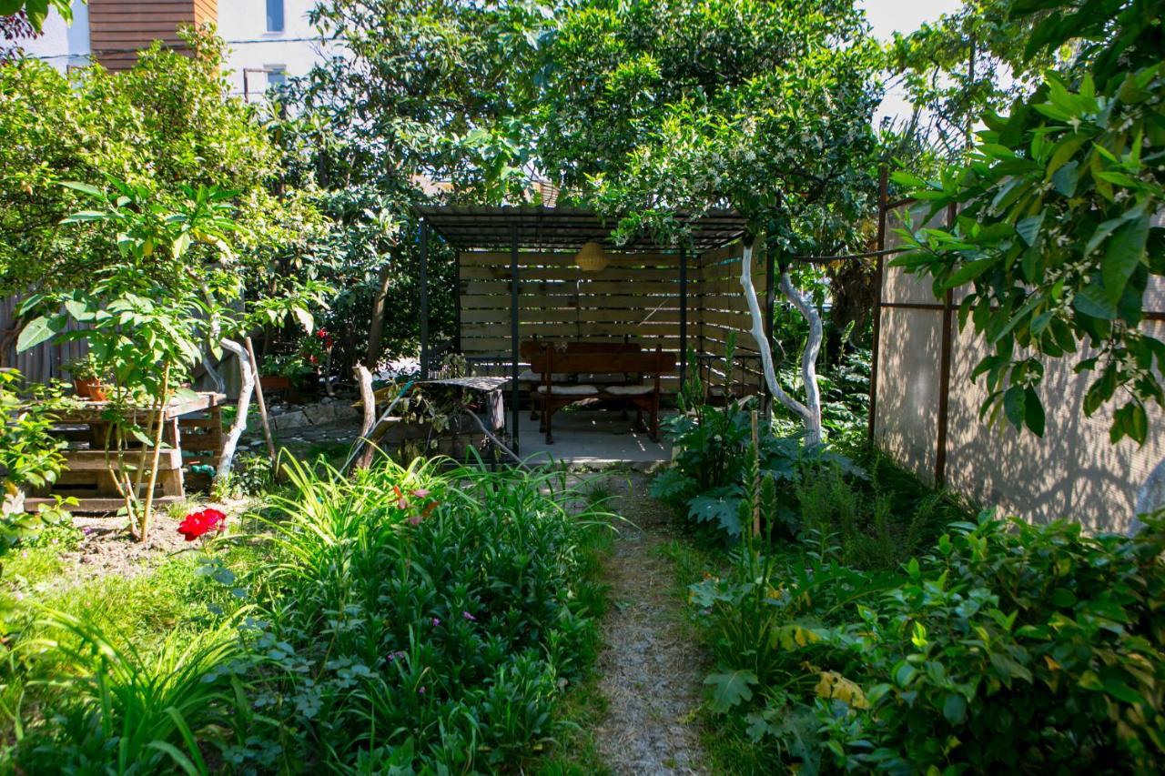 Guest House Lavr Gagra Dış mekan fotoğraf